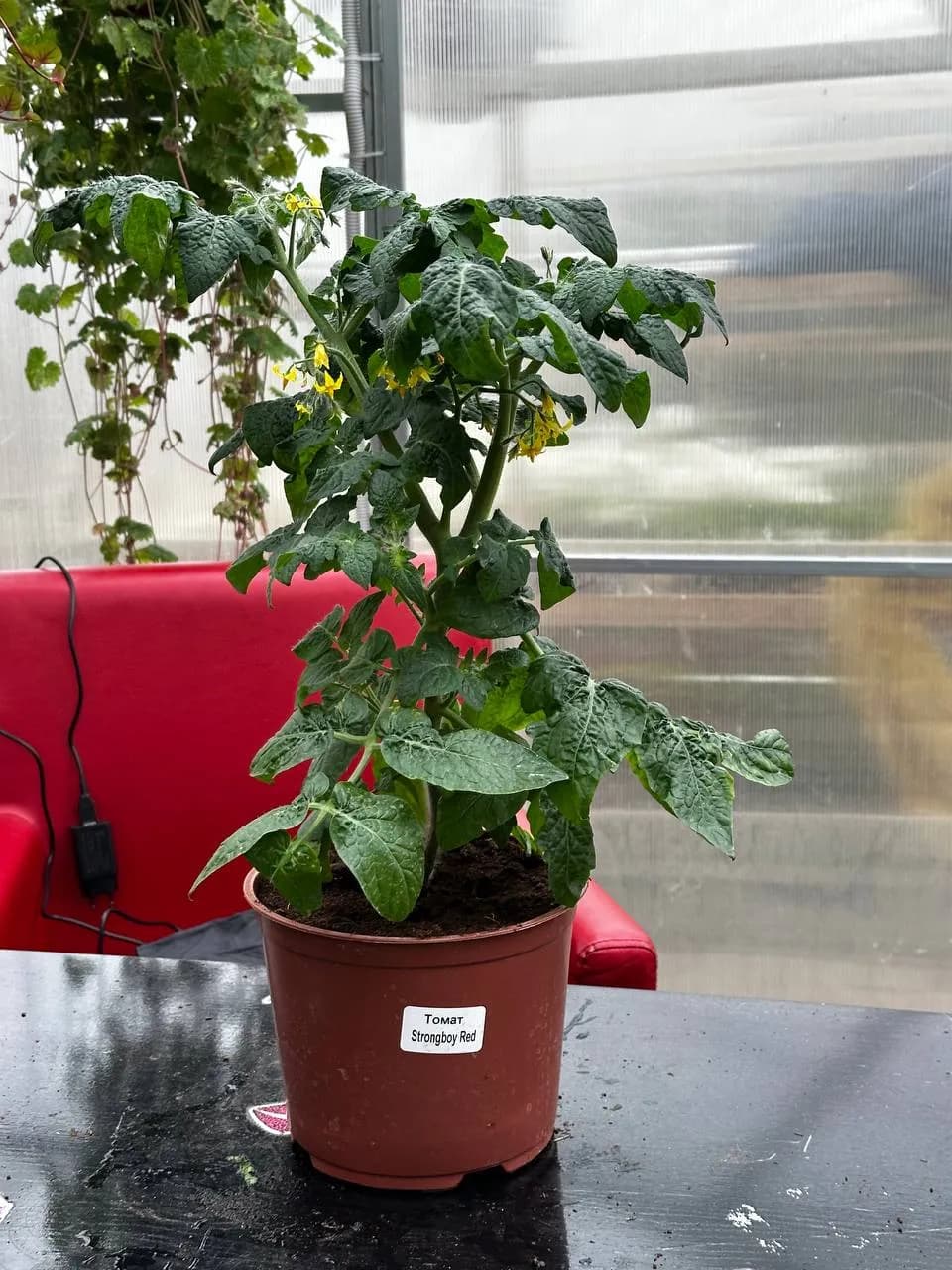 Фотография: 1732dc1e e69f 496a 907c d9f06d6eaf0b