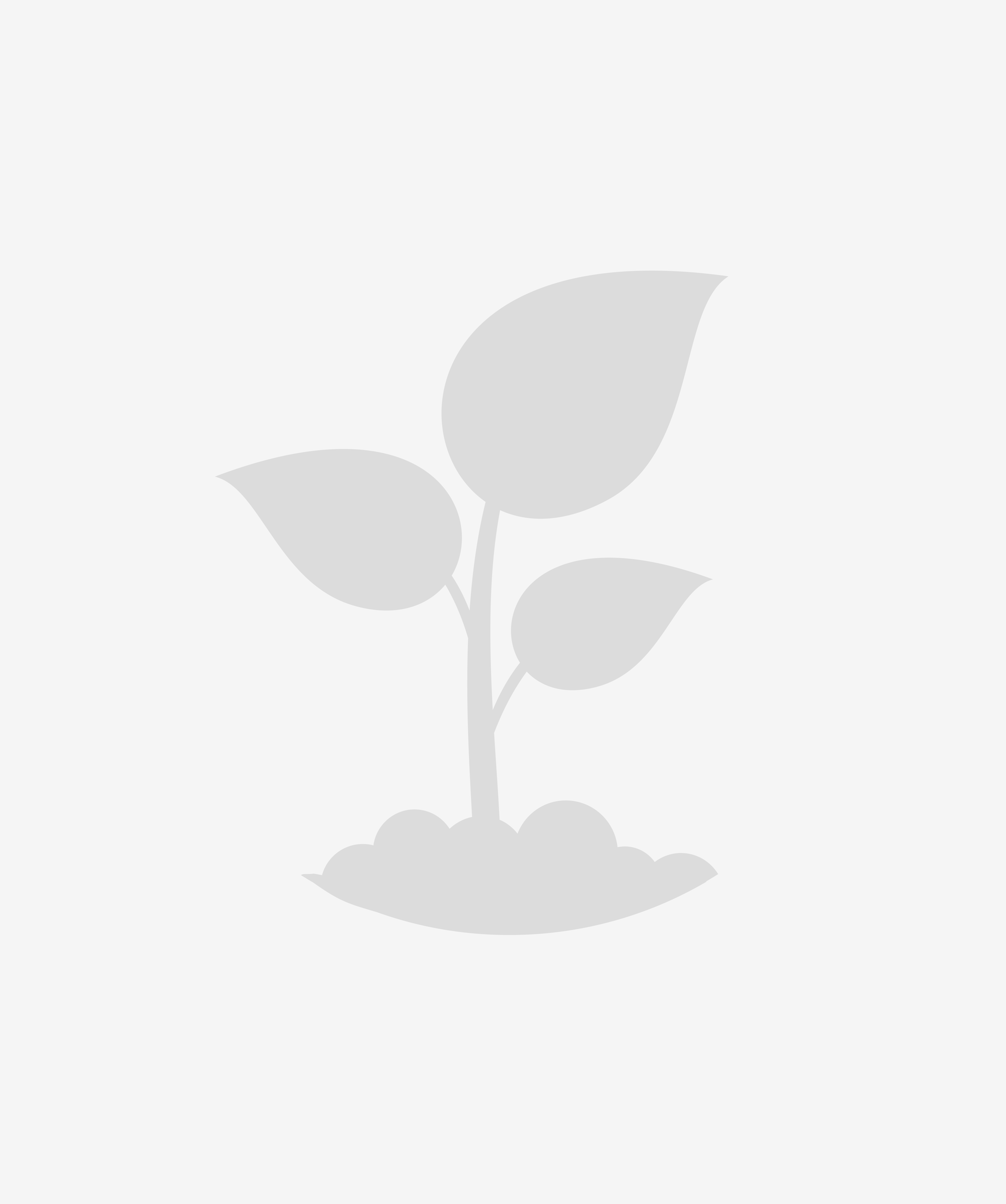 Сирень Красавица Москвы